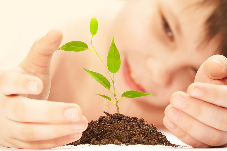 boy near a growing plant