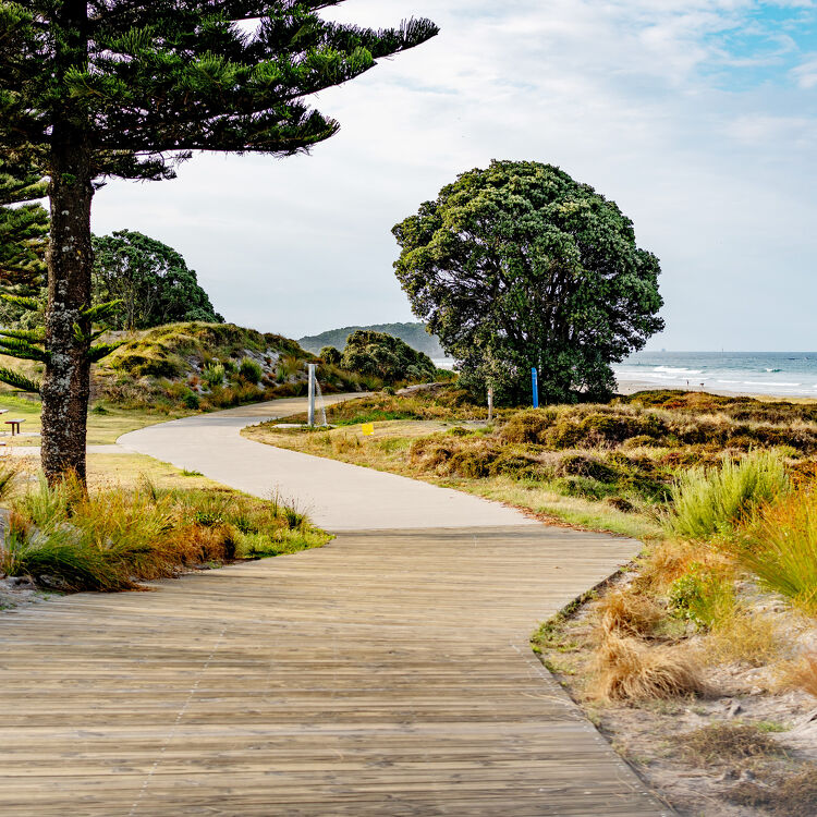 Mount Maunganui beach walk path